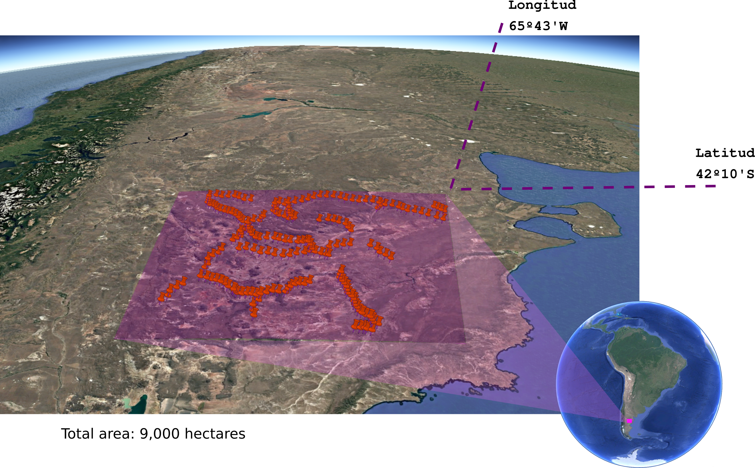 Mapa de Patagonia con rutas de estudio de flora